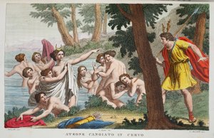 Actaeon til en hjort eller Ateone Cangiato in Cervo, illustration fra Ovids Metamorfoser, Firenze, 1832 (håndkoloreret stik)